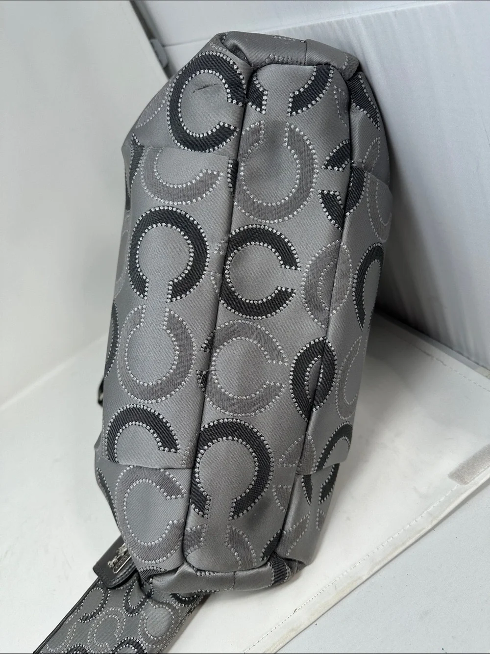 Coach hobo/ wallet